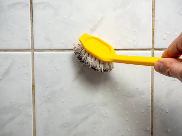 Best Mold Cleaning Services  in Hawthorne, FL