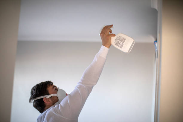 Best Affordable Mold Removal  in Hawthorne, FL