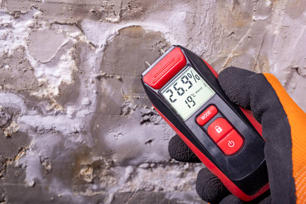 Home Mold Removal in Hawthorne, FL