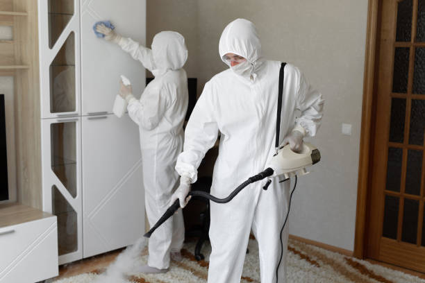 Best Certified Mold Removal  in Hawthorne, FL