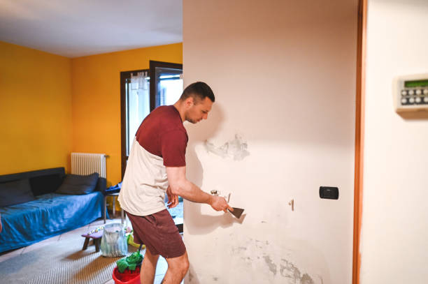 Best Crawl Space Mold Removal  in Hawthorne, FL