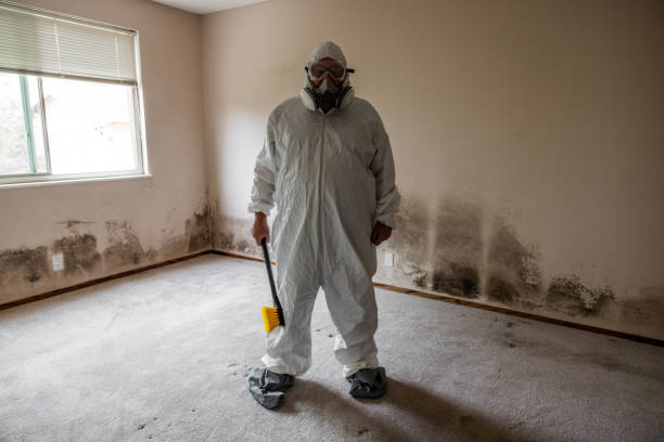 Best Professional Mold Removal  in Hawthorne, FL